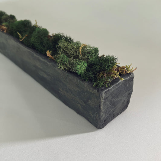 Botanical Collection: Ladder