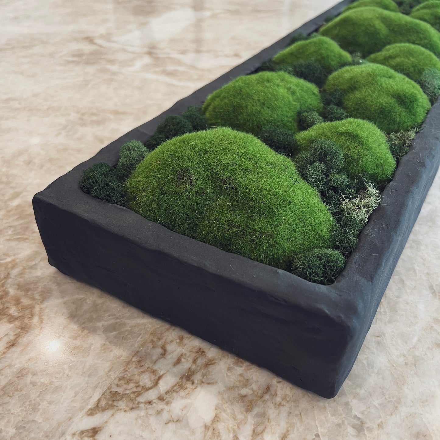 Botanical Collection: Opus
