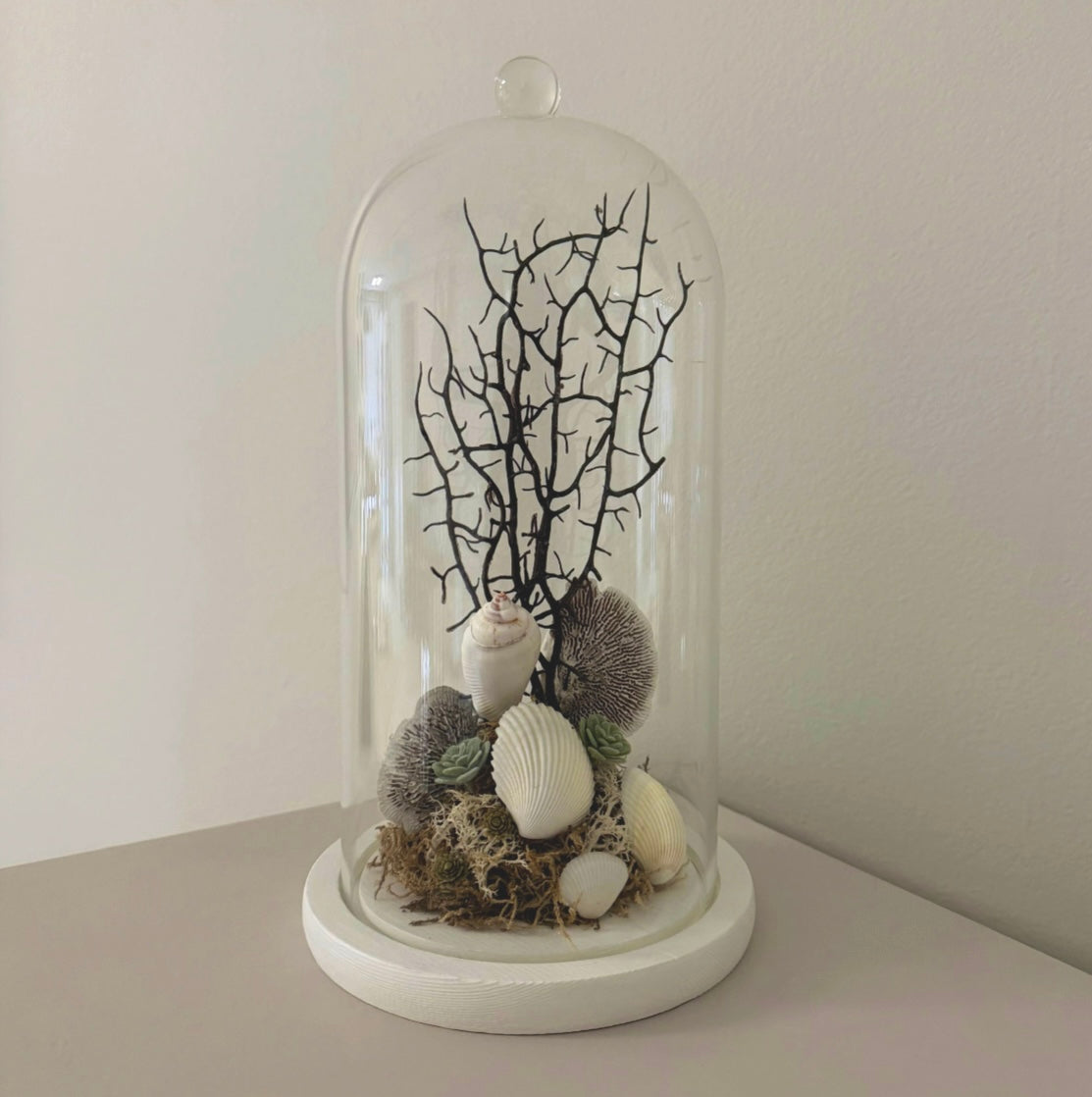 Coastal Terrarium
