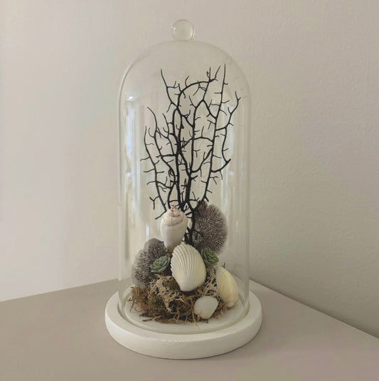 Coastal Terrarium