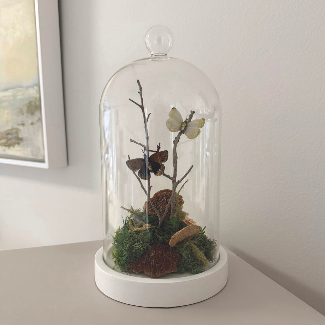 Butterfly Terrarium
