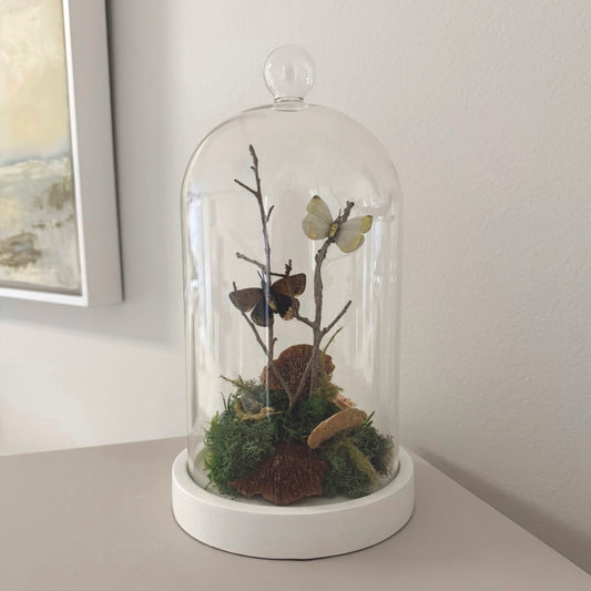 Butterfly Terrarium