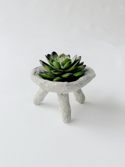 Elevated Mini Tray