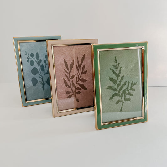 Framed Botanicals