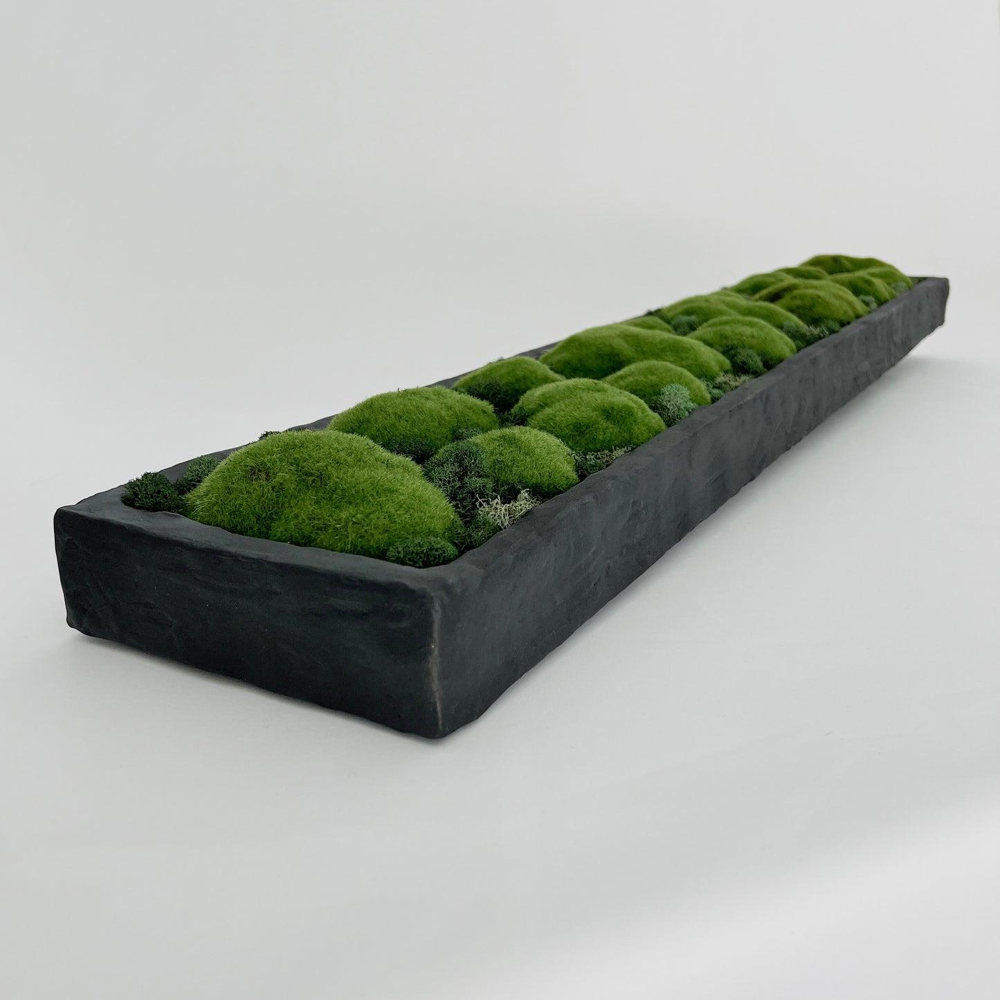 Botanical Collection: Opus