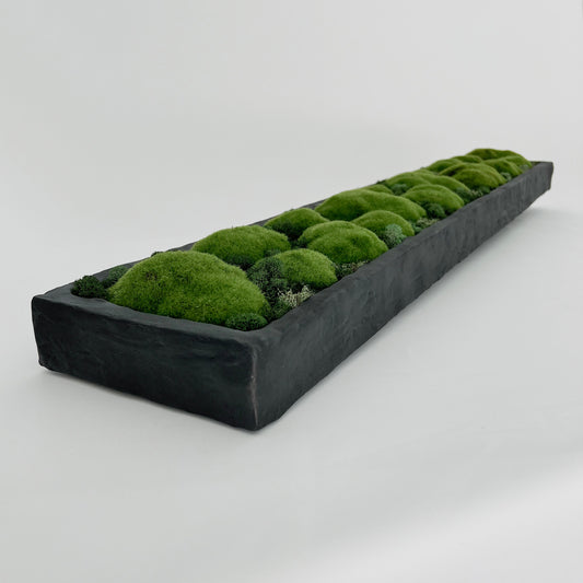 Botanical Collection: Opus