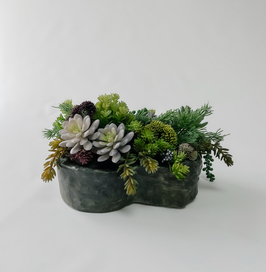 Botanical Collection: Succulent Arrangement