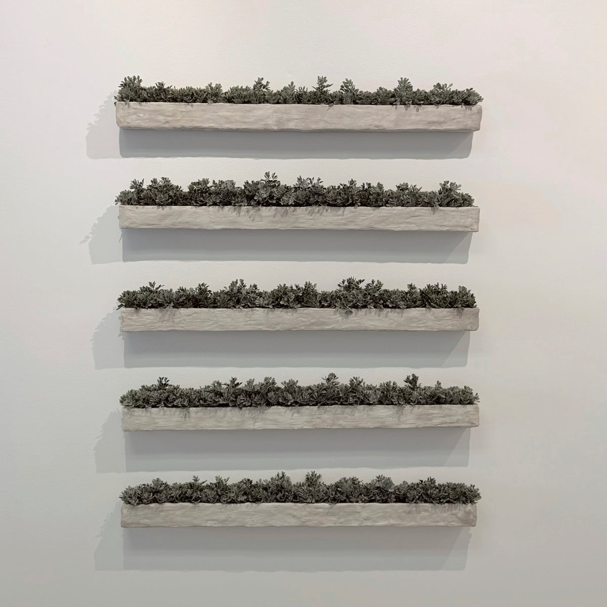 Greige Moss Troughs: Set of Five