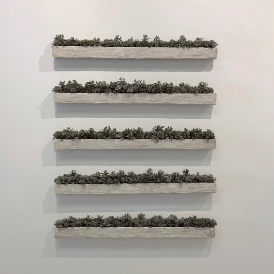 Greige Moss Troughs: Set of Five