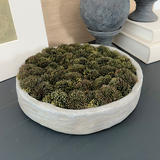 Botanical Collection: Nestled