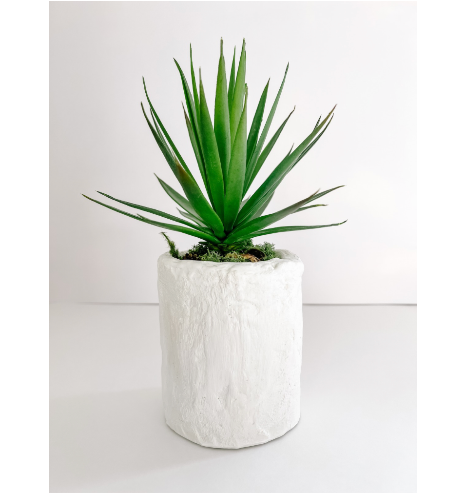 Handmade Vessel with Succulent