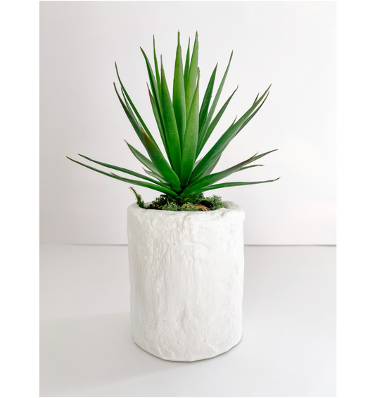 Handmade Vessel with Succulent